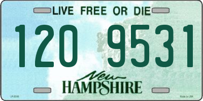 NH license plate 1209531