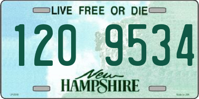 NH license plate 1209534