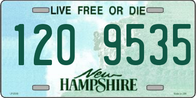 NH license plate 1209535