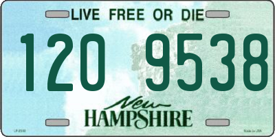 NH license plate 1209538