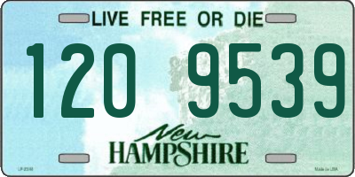NH license plate 1209539