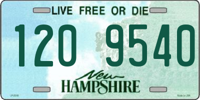 NH license plate 1209540