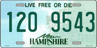 NH license plate 1209543