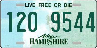 NH license plate 1209544