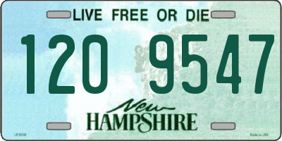NH license plate 1209547