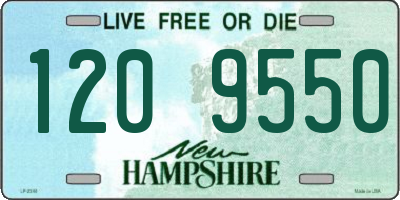 NH license plate 1209550