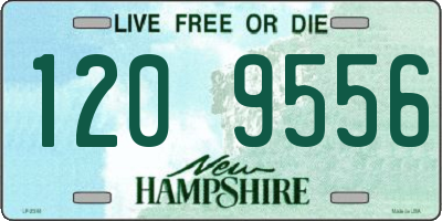NH license plate 1209556