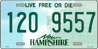 NH license plate 1209557