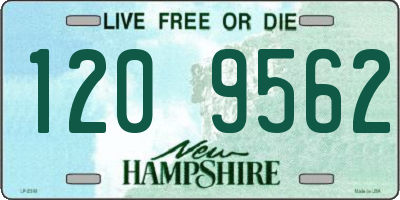 NH license plate 1209562