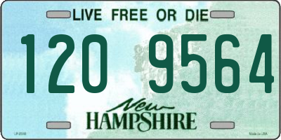 NH license plate 1209564