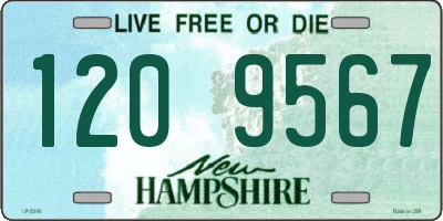 NH license plate 1209567