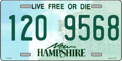 NH license plate 1209568