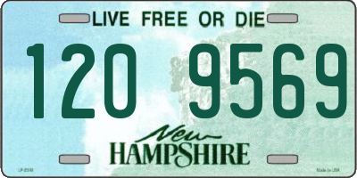 NH license plate 1209569