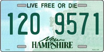 NH license plate 1209571