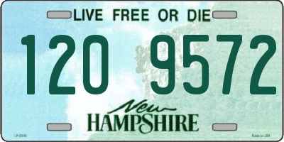 NH license plate 1209572