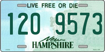 NH license plate 1209573
