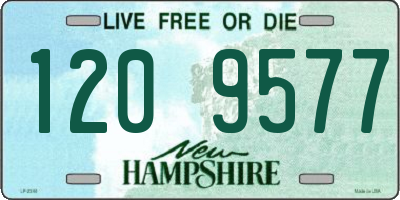 NH license plate 1209577