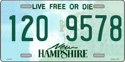 NH license plate 1209578