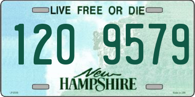 NH license plate 1209579