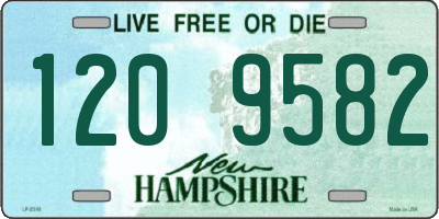 NH license plate 1209582