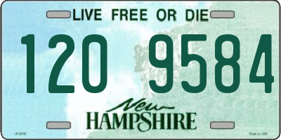NH license plate 1209584