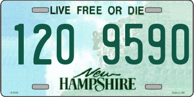 NH license plate 1209590