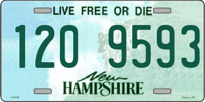 NH license plate 1209593
