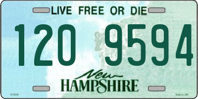 NH license plate 1209594