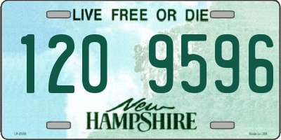 NH license plate 1209596