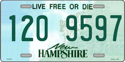NH license plate 1209597