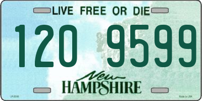 NH license plate 1209599