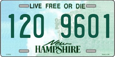 NH license plate 1209601
