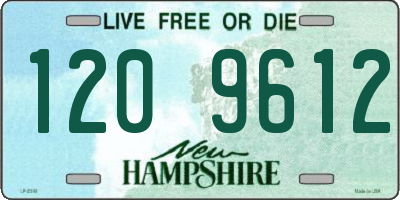 NH license plate 1209612