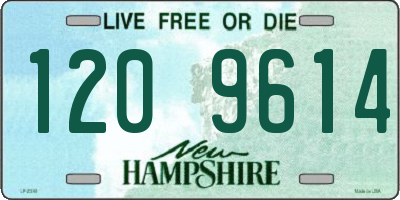 NH license plate 1209614