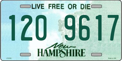 NH license plate 1209617