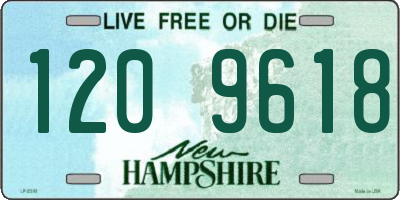 NH license plate 1209618