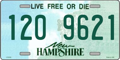NH license plate 1209621