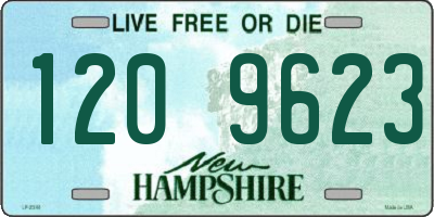 NH license plate 1209623