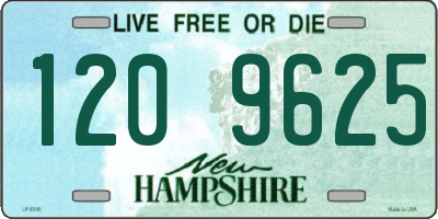 NH license plate 1209625