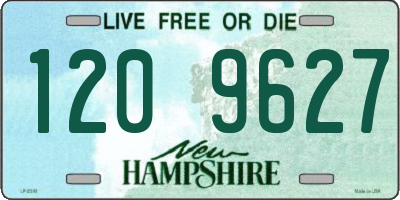 NH license plate 1209627