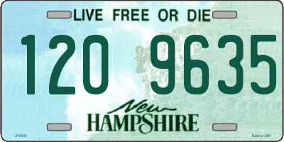 NH license plate 1209635
