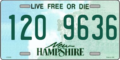 NH license plate 1209636