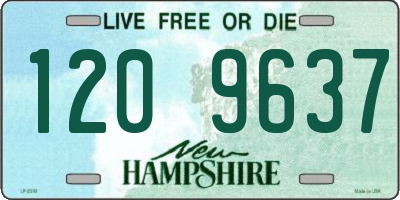 NH license plate 1209637