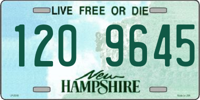 NH license plate 1209645