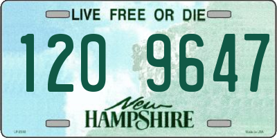 NH license plate 1209647