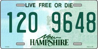 NH license plate 1209648