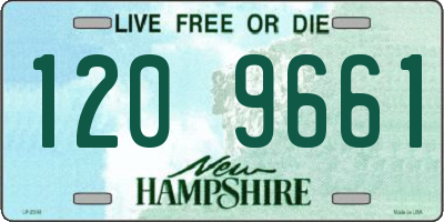 NH license plate 1209661