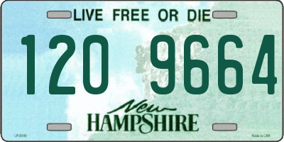 NH license plate 1209664