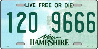 NH license plate 1209666