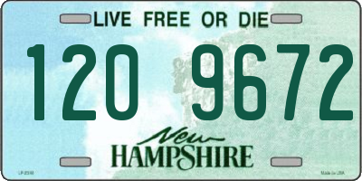 NH license plate 1209672